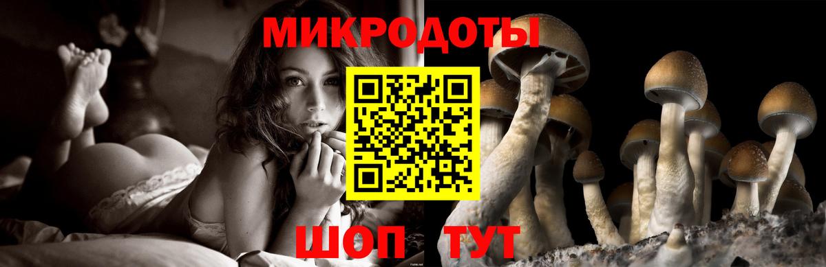Галлюциногенные грибы Psilocybine cubensis  Вход с VPN  Соль-Илецк  Галлюциногенные грибы GOLDEN TEACHER 